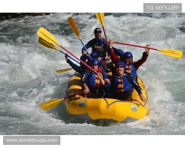 斗球体育手机版官方正版带你体验最真实的体育竞技乐趣