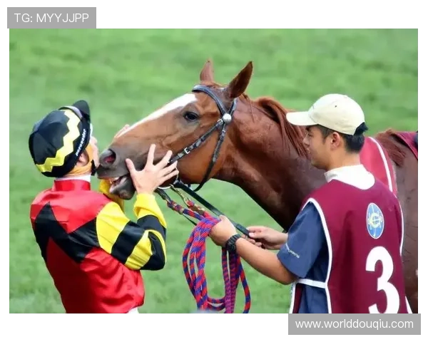 斗球体育官网多样化投注方式,满足不同用户的投注需求与偏好 斗球体育官网多样化投注方式,满足不同用户的投注需求与偏好