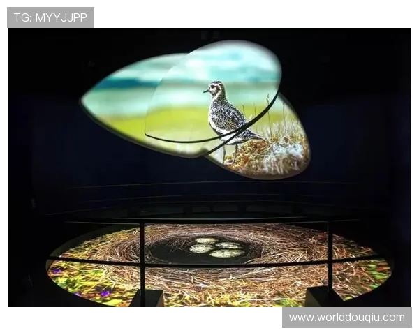 斗球直播篮球直播为用户打造沉浸式的观看体验和丰富的互动内容