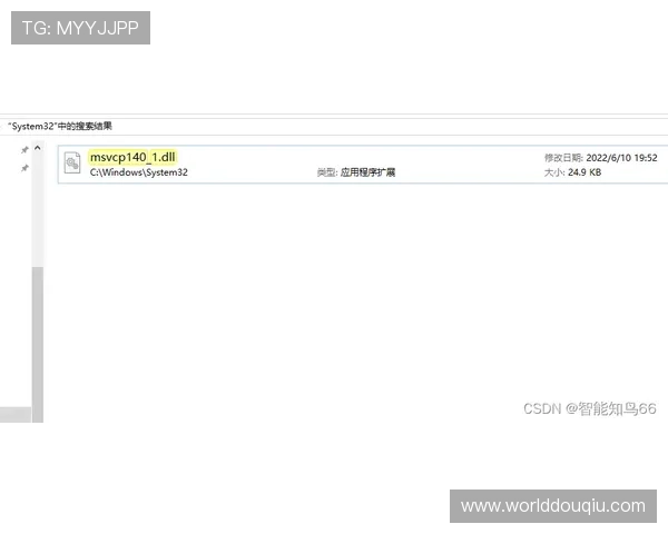 斗球软件无法下载的常见原因及快速解决方案指南